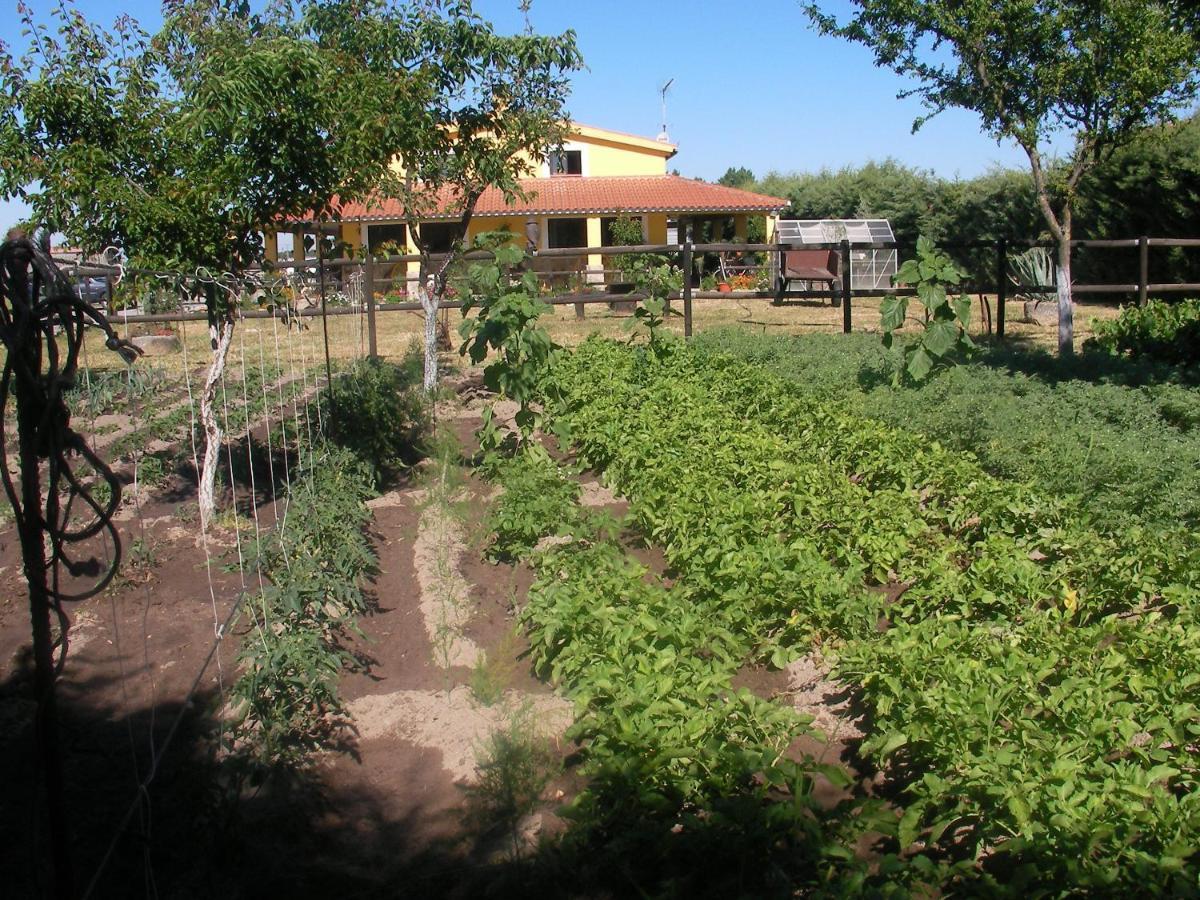 La Posada Hipica Rosalejo  Exterior foto